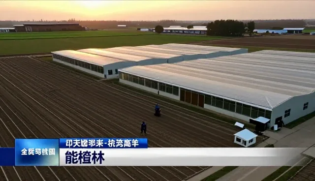 技术咨询中常见的问题及解决策略