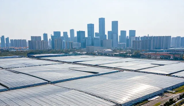 项目执行：企业定制化管理系统选型关注点分析